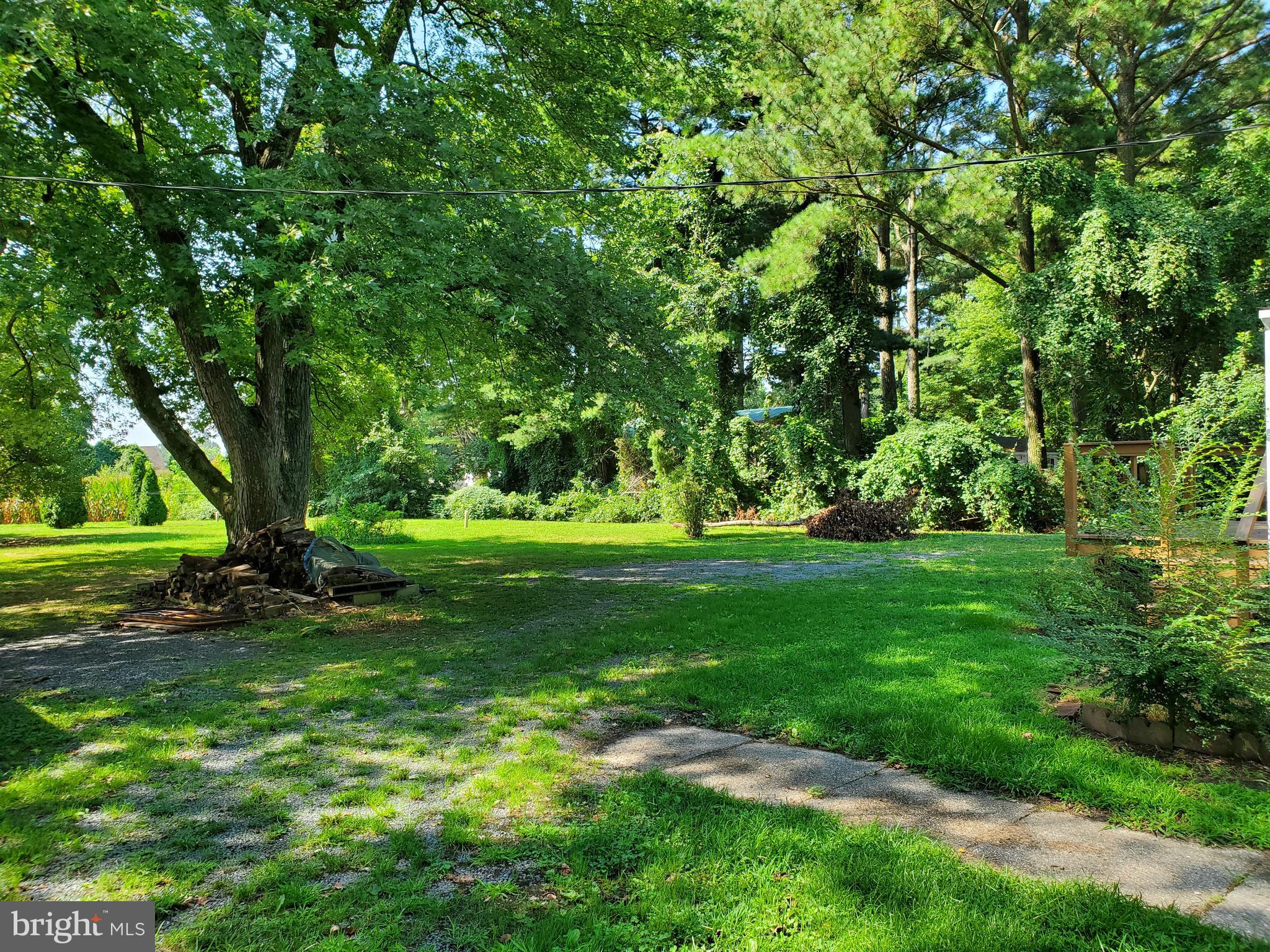 30255 Mt Vernon Road Princess Anne, MD 21853 - Photo 11 of 55 Mature Landscape