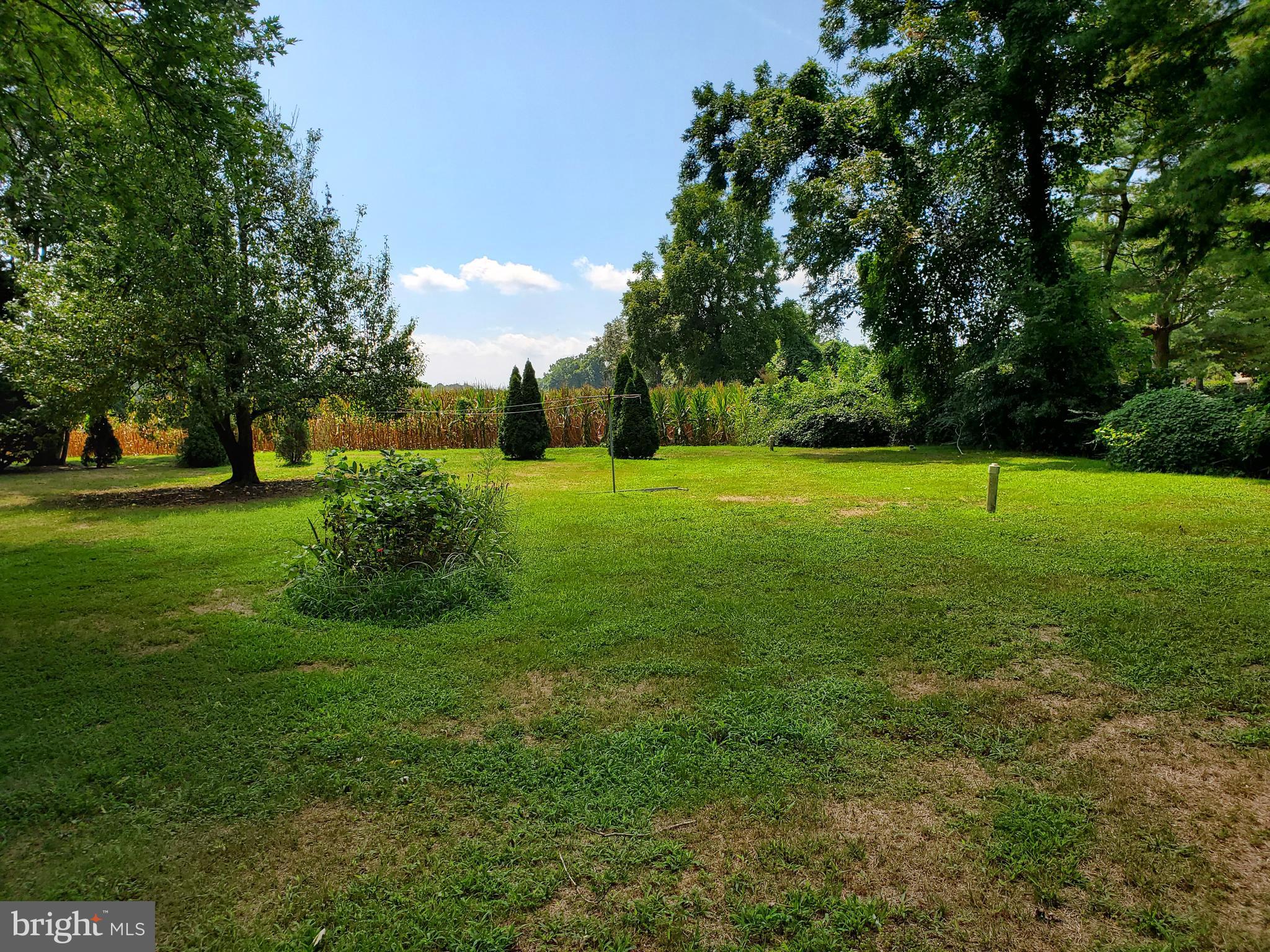 30255 Mt Vernon Road Princess Anne, MD 21853 - Photo 50 of 55 Rear yard