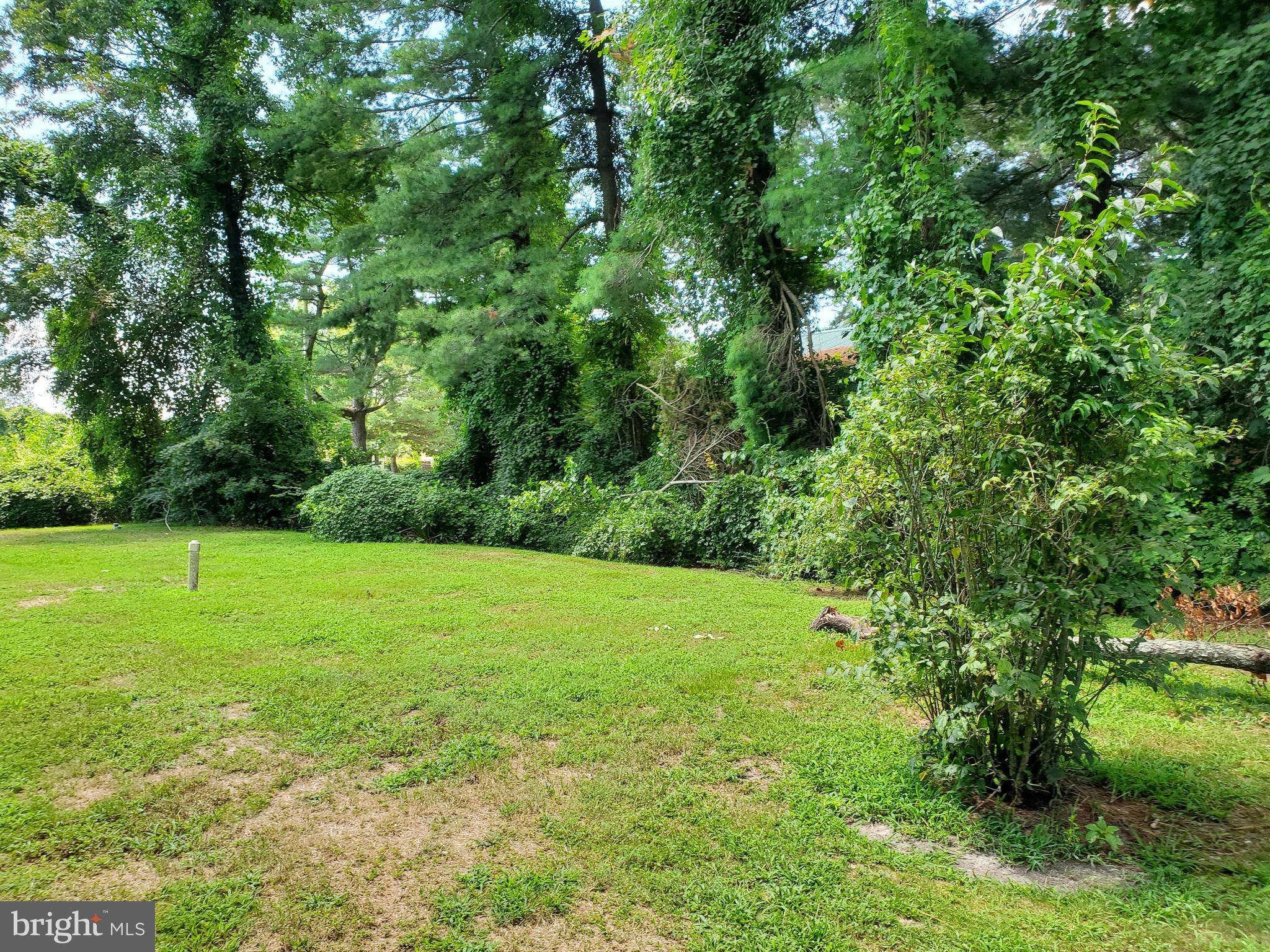 30255 Mt Vernon Road Princess Anne, MD 21853 - Photo 51 of 55 Rear yard