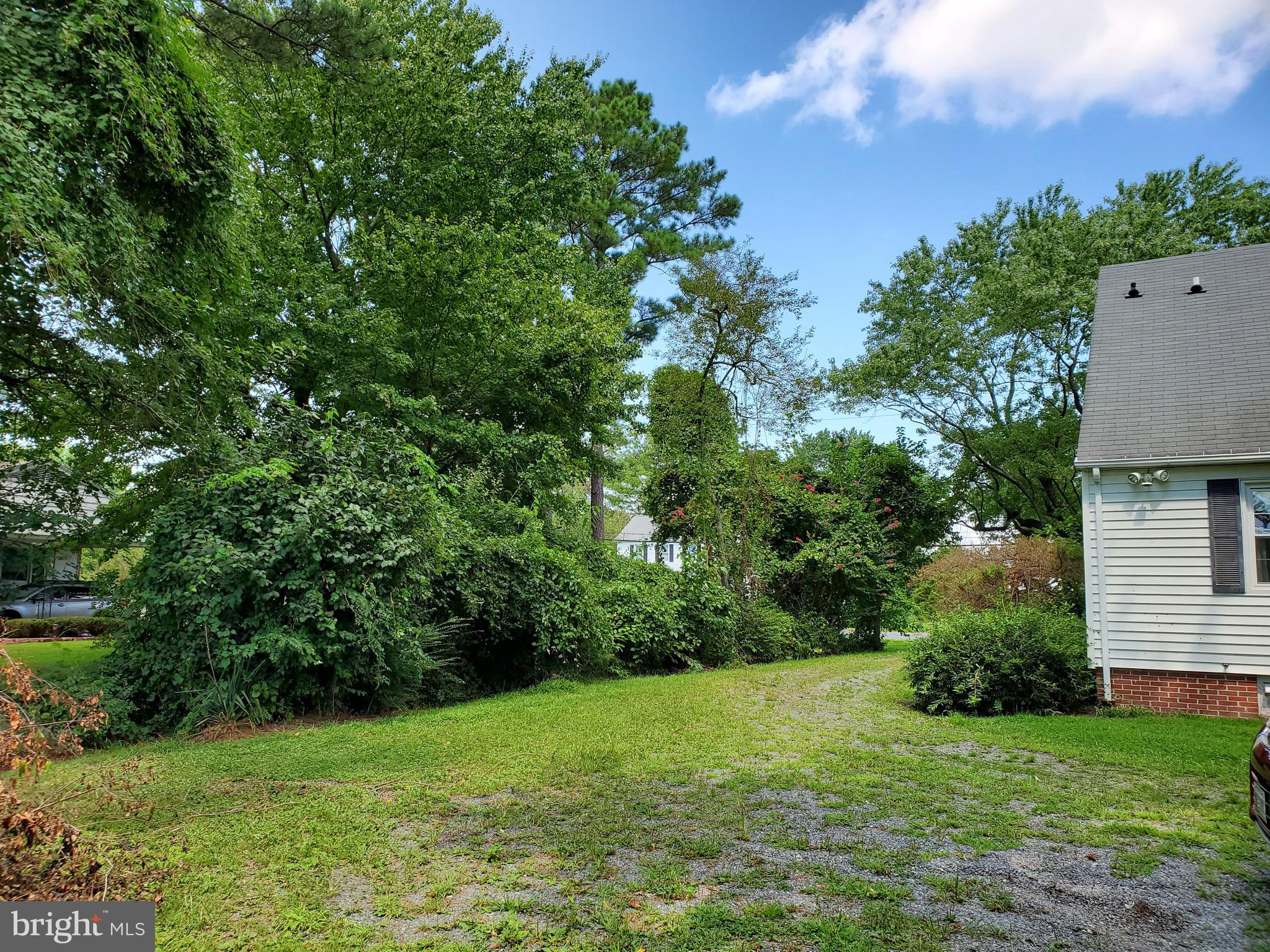 30255 Mt Vernon Road Princess Anne, MD 21853 - Photo 53 of 55 Rear yard looking toward side of house