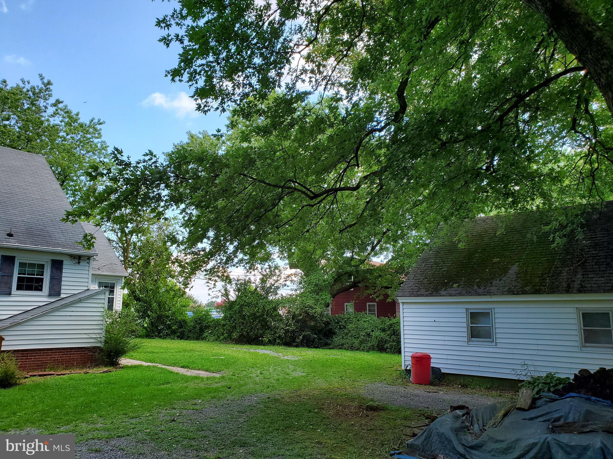 30255 Mt Vernon Road Princess Anne, MD 21853 - Photo 54 of 55 Rear yard looking toward Outbuilding