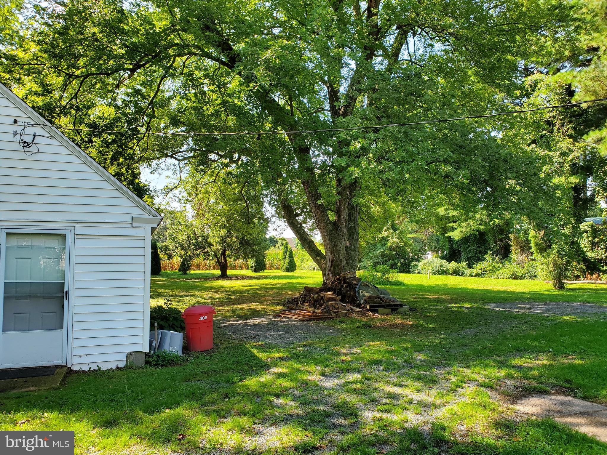 30255 Mt Vernon Road Princess Anne, MD 21853 - Photo 10 of 55