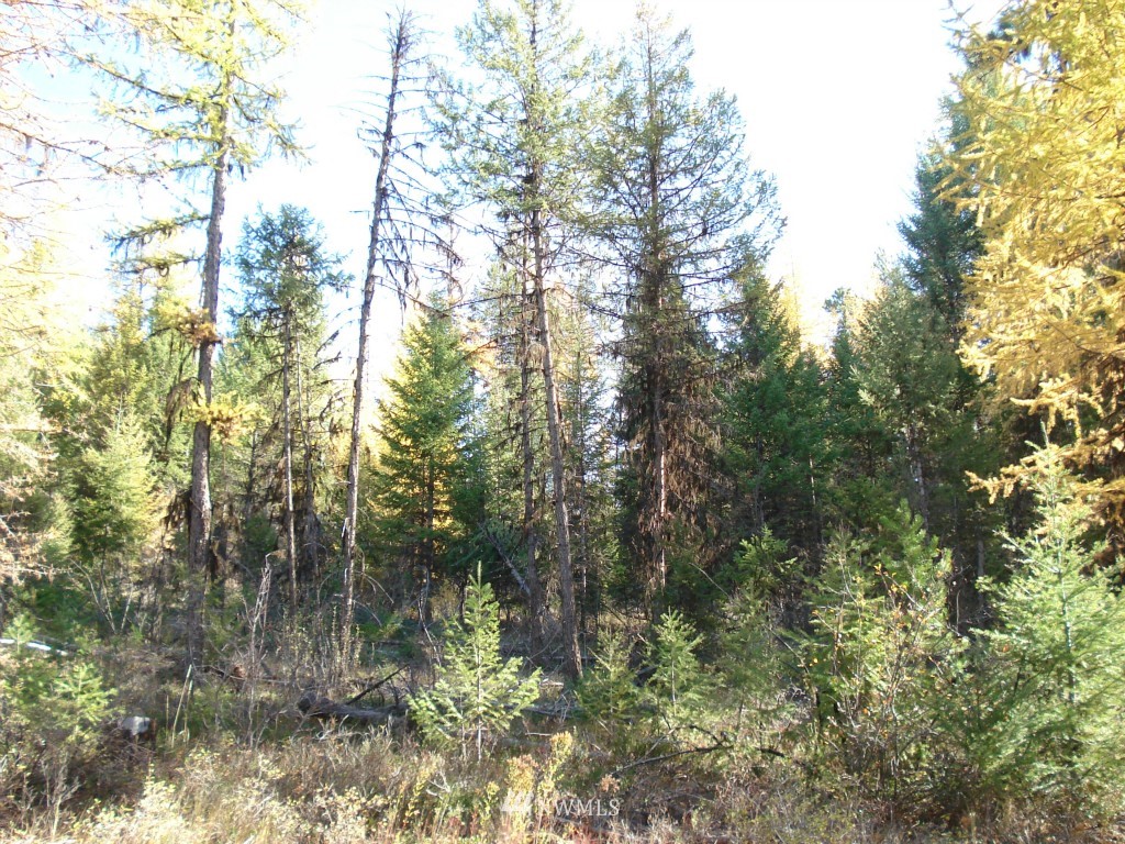 9999 Mule Deer Road Republic, WA 99166 - Photo 1 of 1