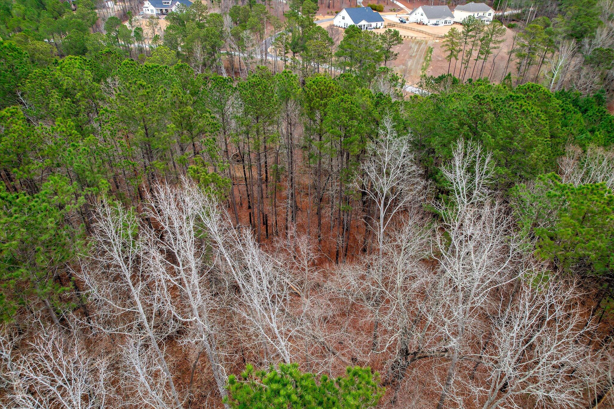 Lot K-18 Lot K-18 Collin Reeds Road Edgefield, SC 29824 - Photo 15 of 24
