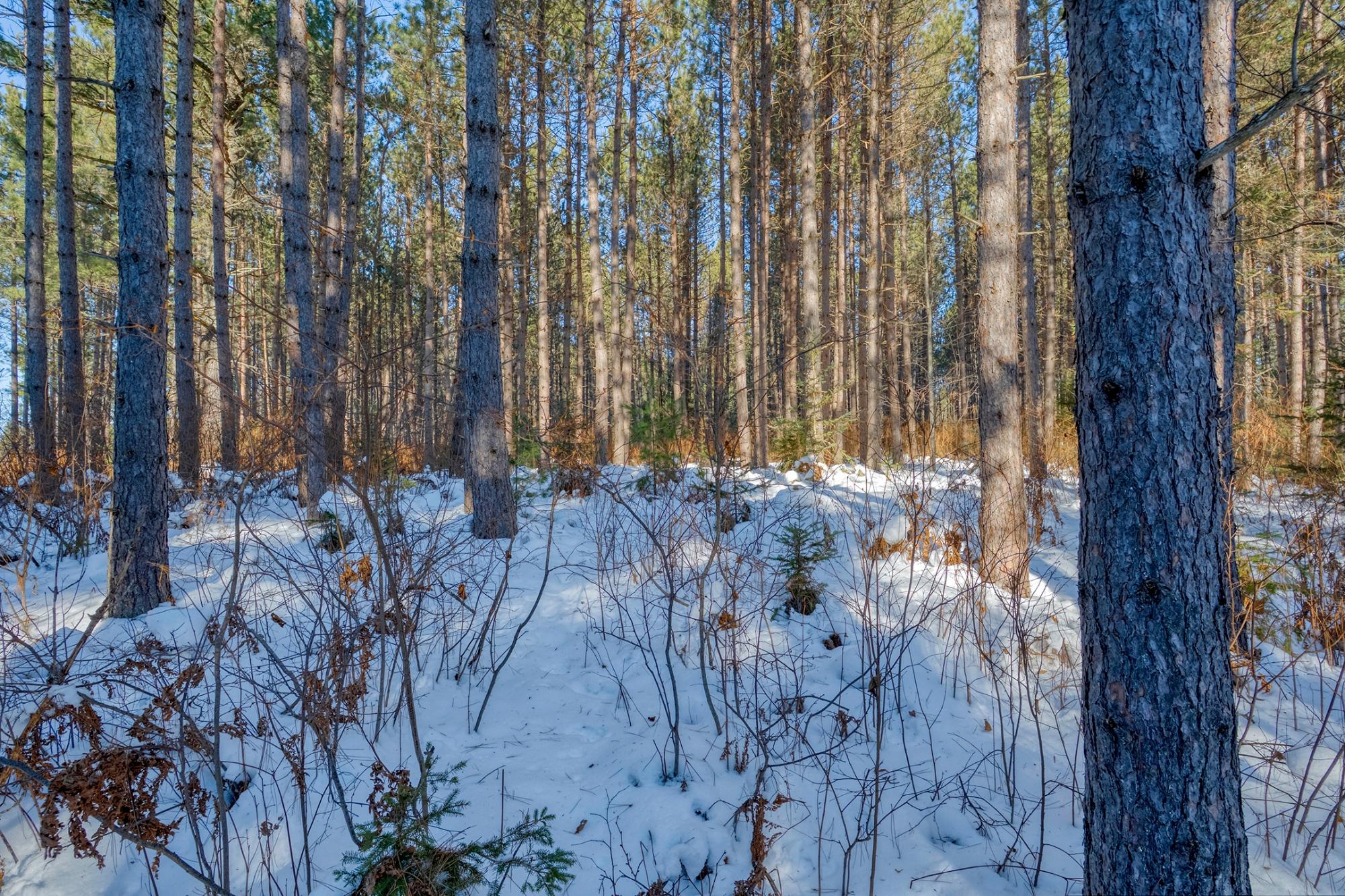 Off Deerskin Road, Unit LOT 3 Eagle River, WI 54521 - Photo 9 of 25 Gallery Image 9