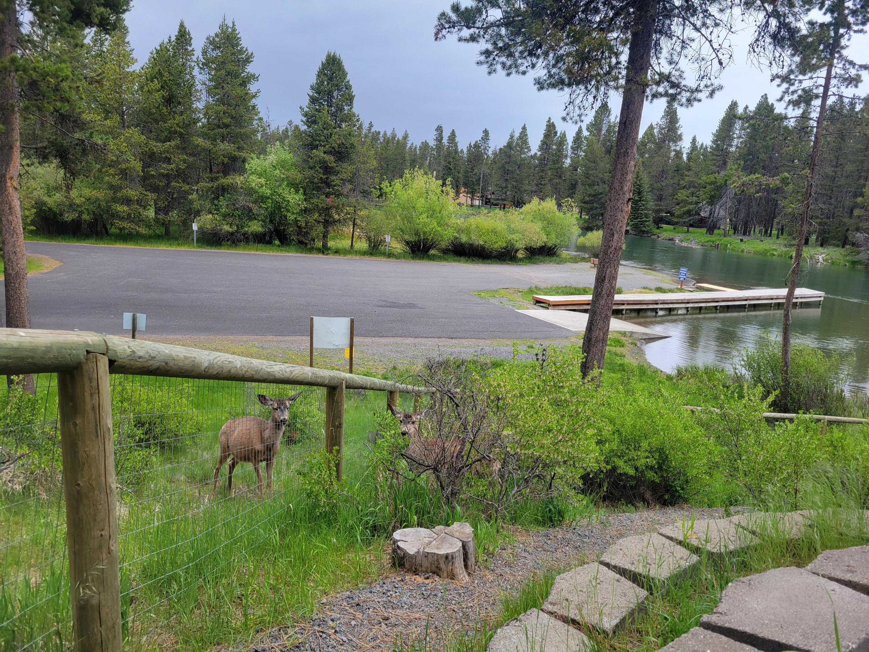 56065 Snow Goose Road Bend, OR 97707 - Photo 30 of 65 Watching wildlife from your deck!