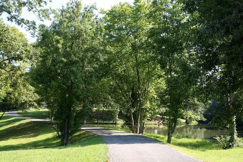 555 Blueberry Hills Road Northeast Cleveland, TN 37312 - Photo 31 of 32 Cleveland_2