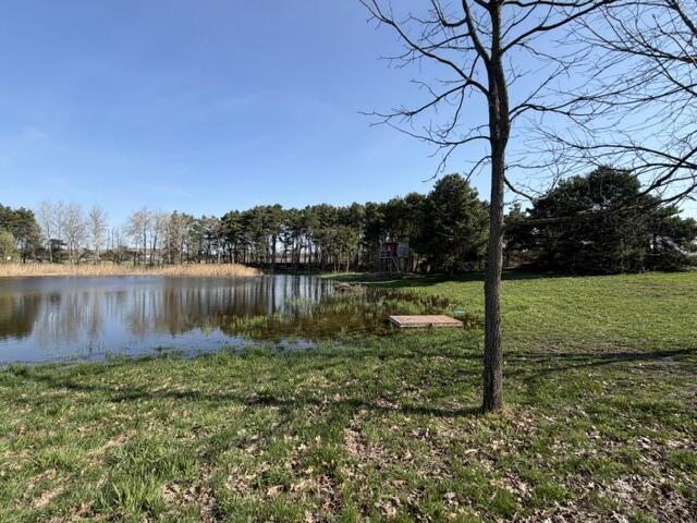6301 South Stiles Road Pentwater, MI 49449 - Photo 38 of 41 IMG_4451