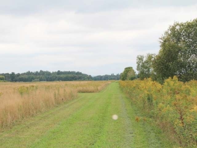 1-3 West Blomberg Road Exeland, WI 54835 - Photo 15 of 19 Gallery Image 15