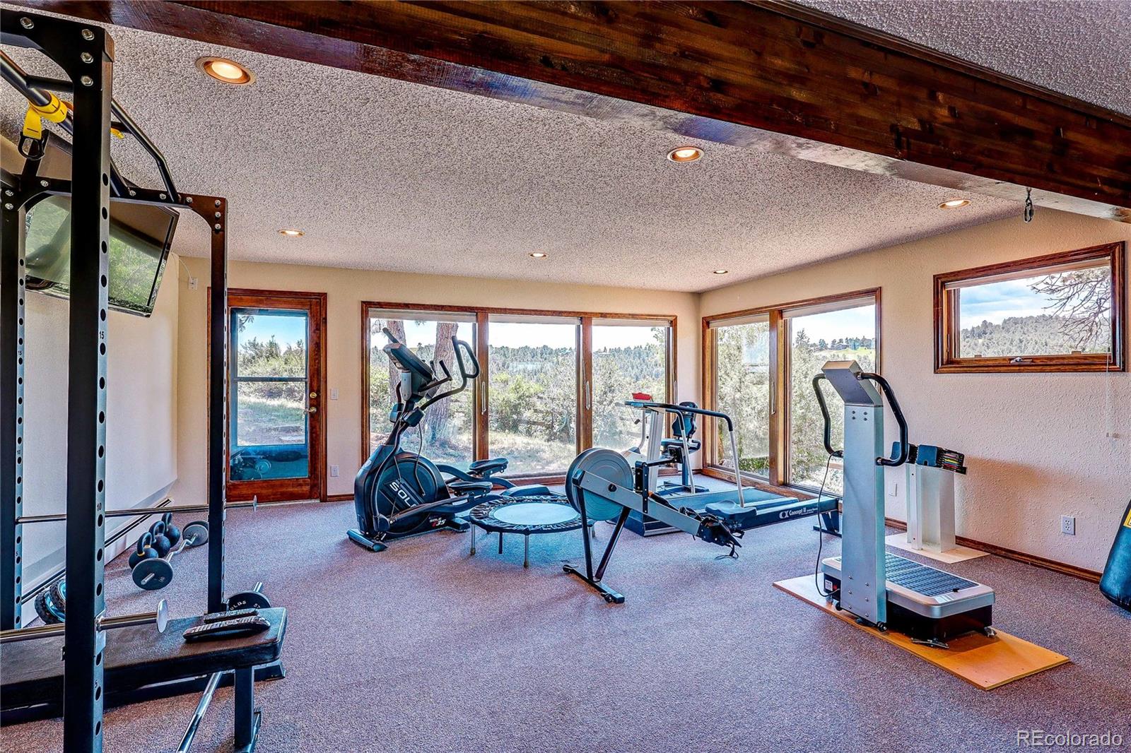 147 Alpine Avenue Golden, CO 80401 - Photo 34 of 47 a living room with furniture gym equipment and a large window