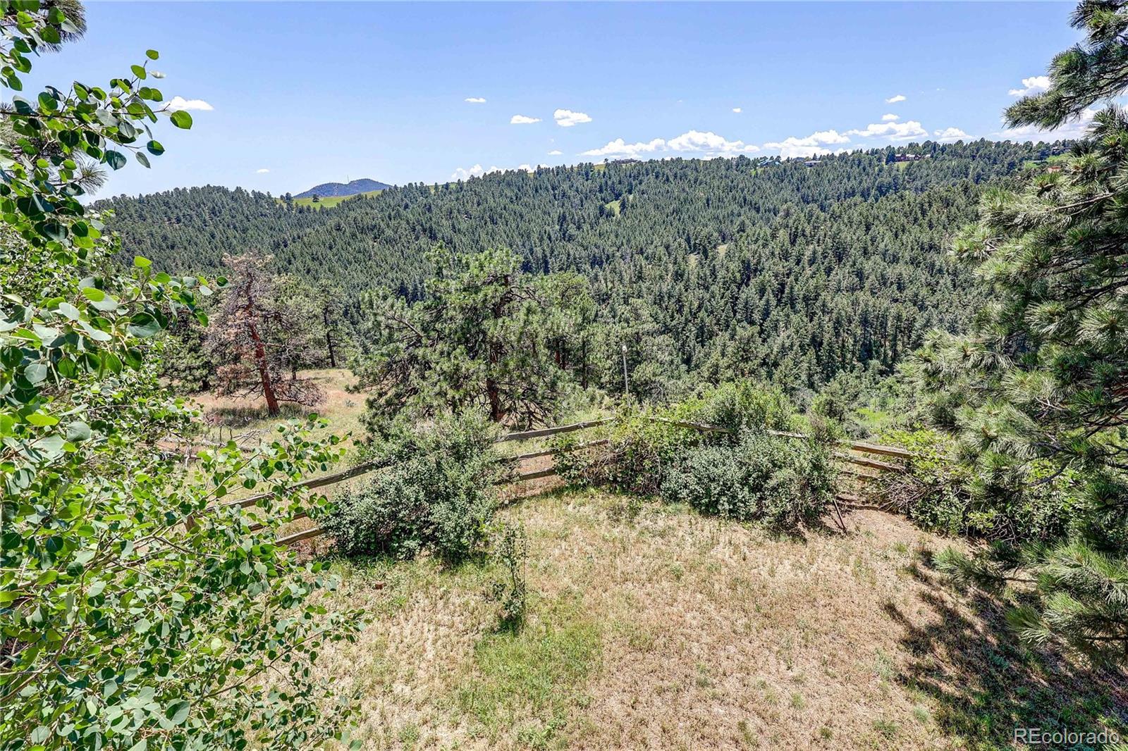 147 Alpine Avenue Golden, CO 80401 - Photo 41 of 47 a view of a forest with a mountain in the background
