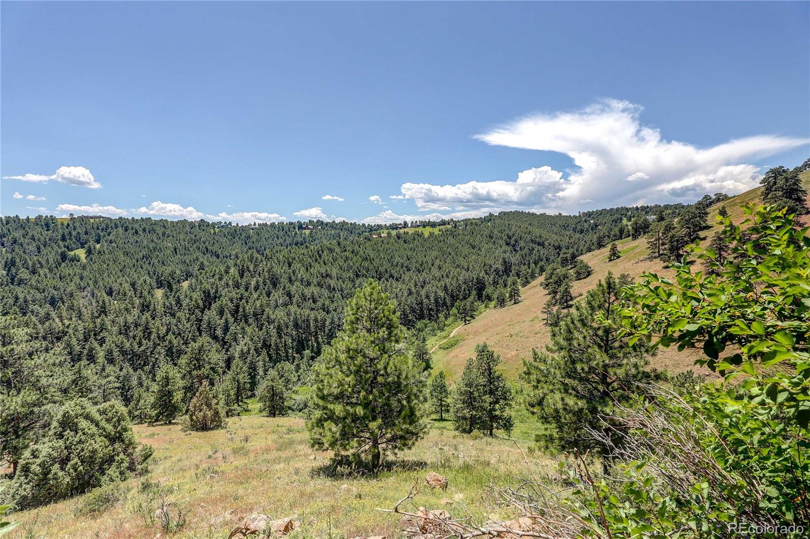 147 Alpine Avenue Golden, CO 80401 - Photo 42 of 47 a view of a lake in middle of forest