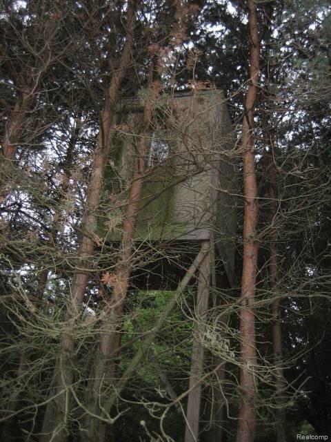 4903 Herd Road Metamora, MI 48455 - Photo 15 of 25 Hunting Blind