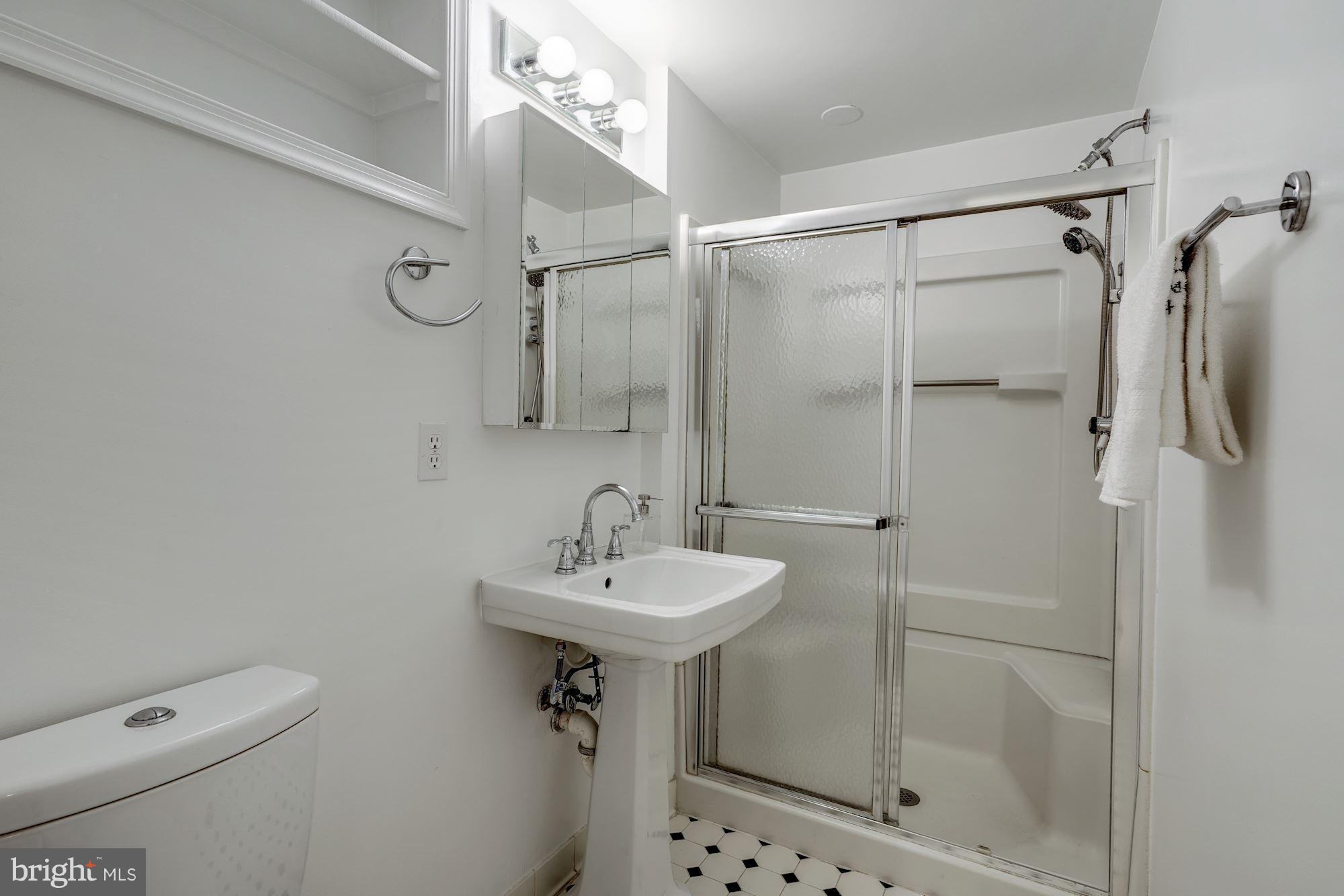 5606 Chesterbrook Road Bethesda, MD 20816 - Photo 24 of 29 Lower level full bathroom with shower