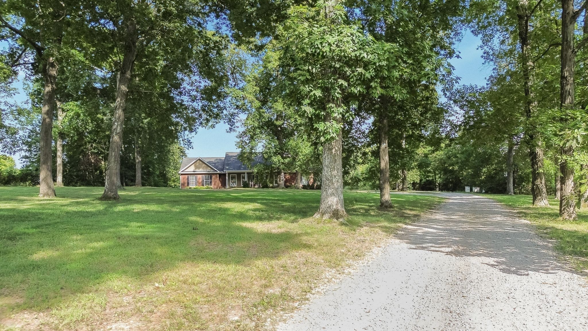 2350 Joe Brown Road Spring Hill, TN 37174 - Photo 15 of 80 a view of a tree in front of a house with a big yard and large trees