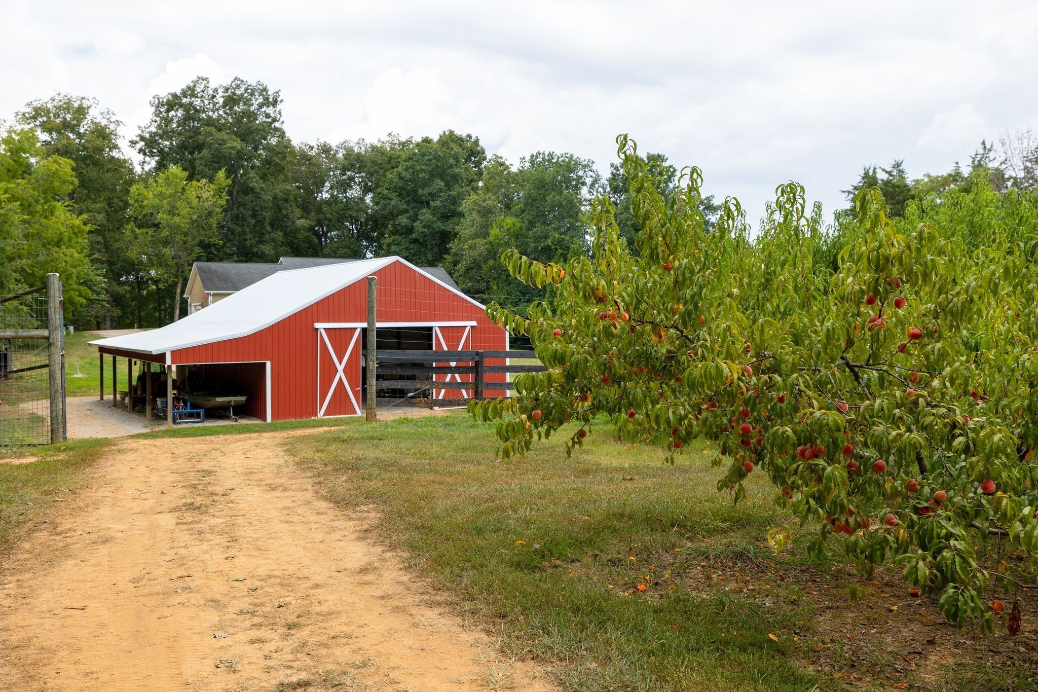 2350 Joe Brown Road Spring Hill, TN 37174 - Photo 58 of 80 a backyard of a house with table and chairs