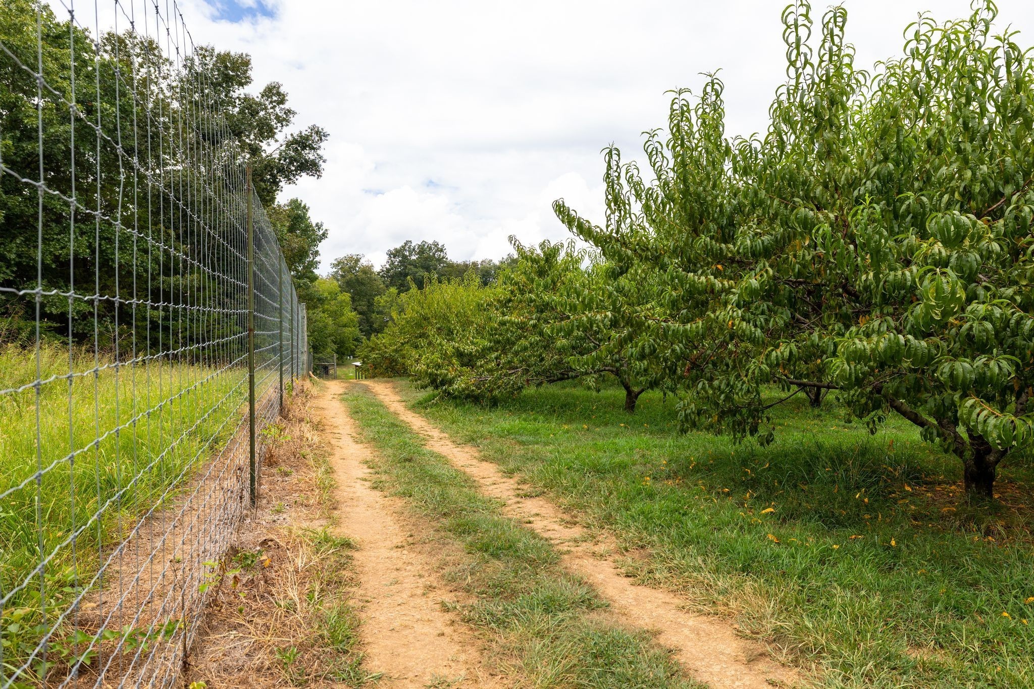 2350 Joe Brown Road Spring Hill, TN 37174 - Photo 62 of 80