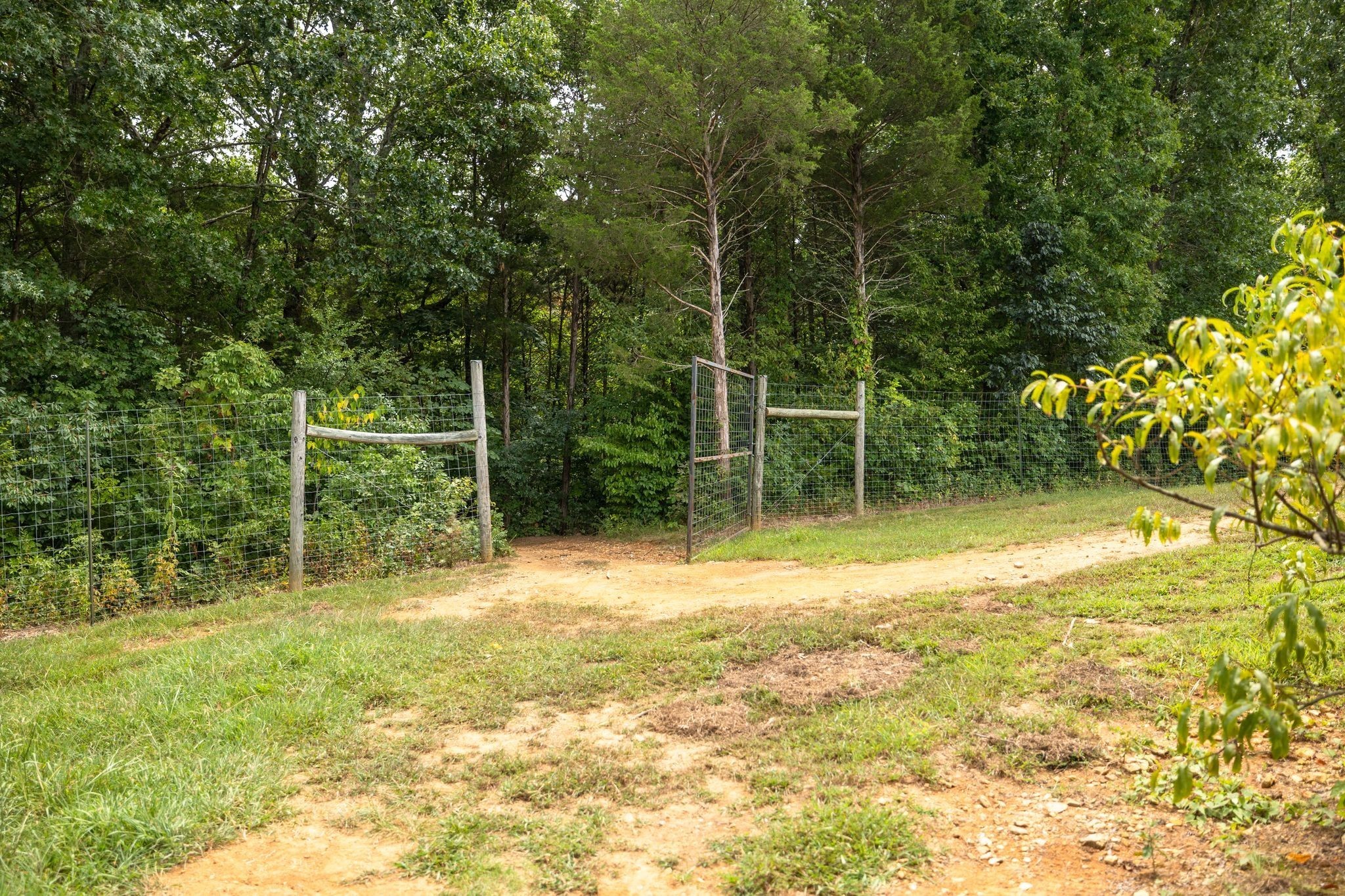 2350 Joe Brown Road Spring Hill, TN 37174 - Photo 65 of 80 a backyard of a house with lots of green space and fountain