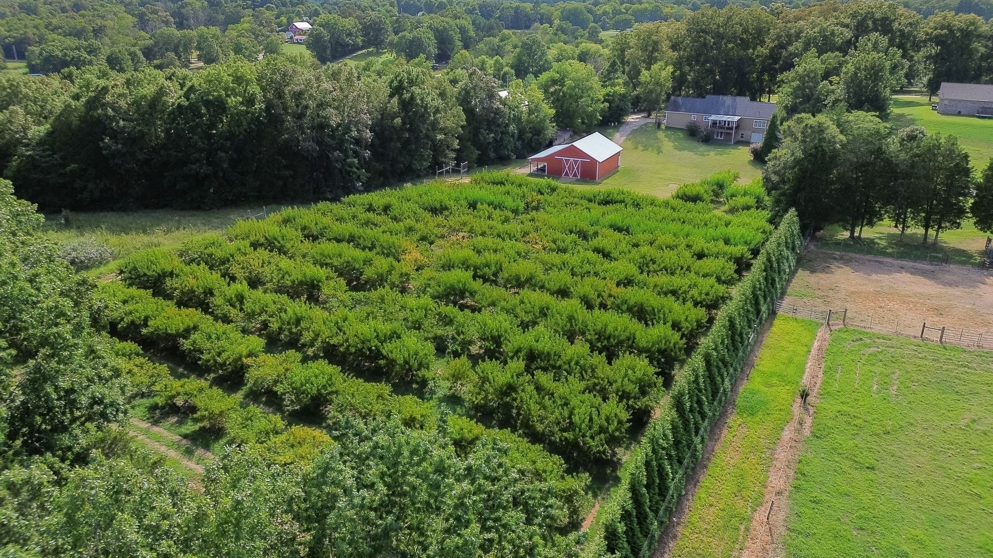 2350 Joe Brown Road Spring Hill, TN 37174 - Photo 77 of 80