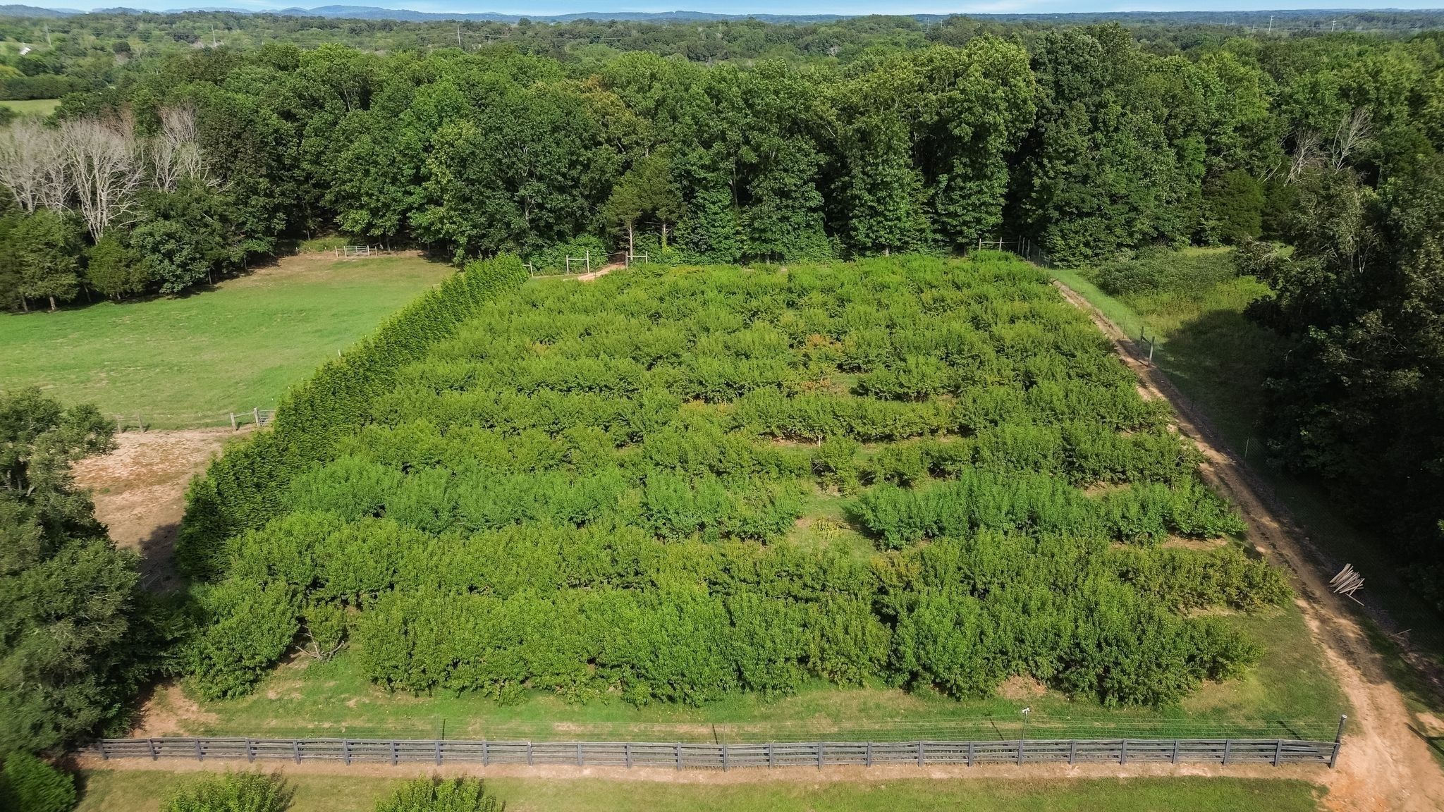 2350 Joe Brown Road Spring Hill, TN 37174 - Photo 78 of 80