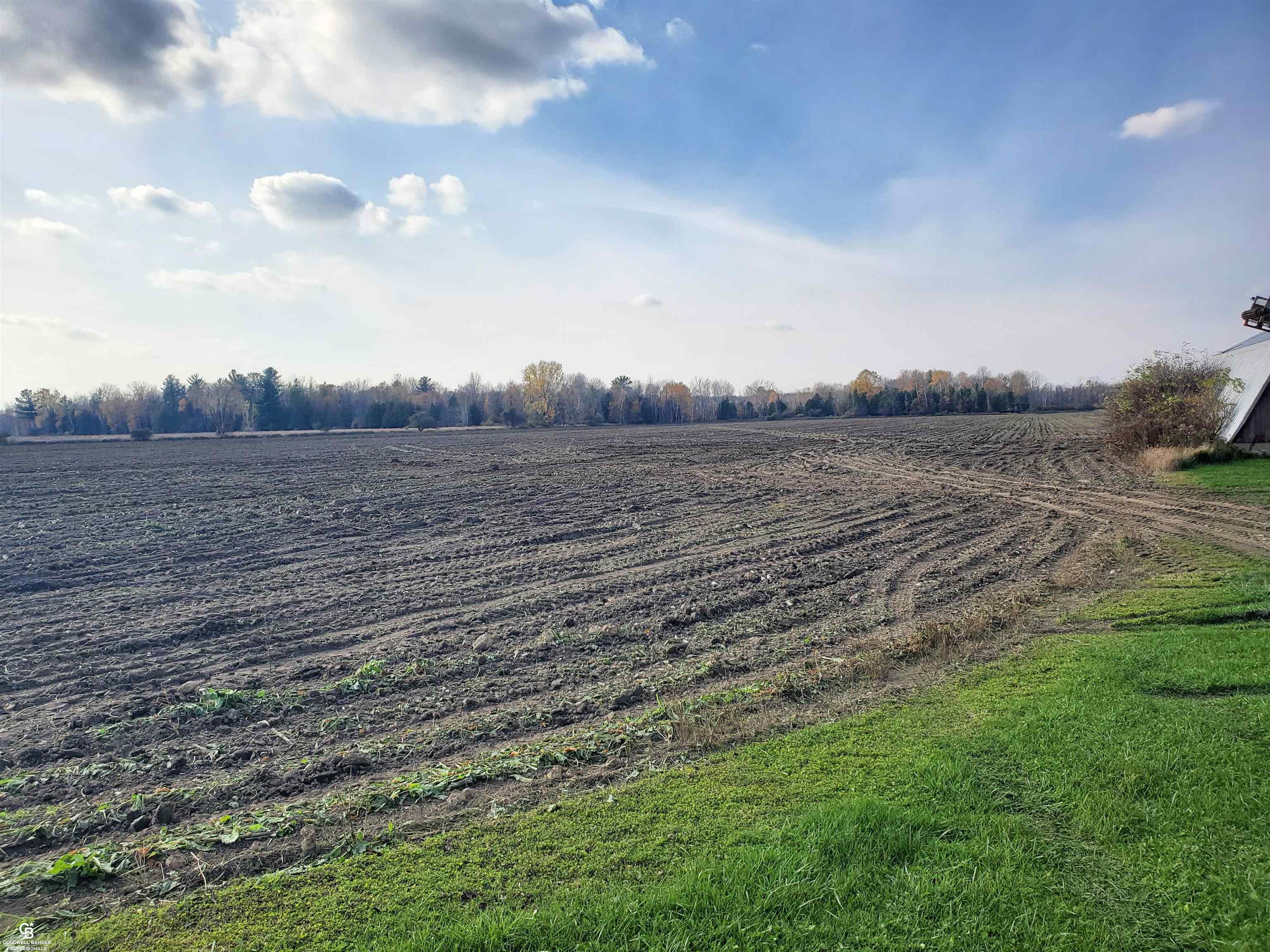 2671 Carpenter Road Bad Axe, MI 48413 - Photo 10 of 28 Field View 3