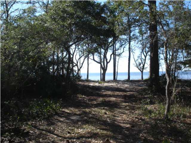 2187 Bay Grove Road Freeport, FL 32439 - Photo 3 of 13 a view of tree next to a yard