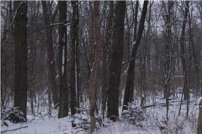 Gravel Ridge Road, Unit PAR A Lakeview, MI 48850 - Photo 1 of 5 Primary Photo