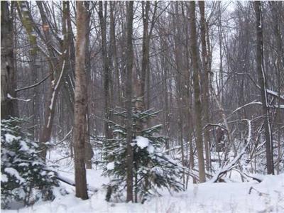 Gravel Ridge Road, Unit PAR A Lakeview, MI 48850 - Photo 3 of 5 Additional Photo