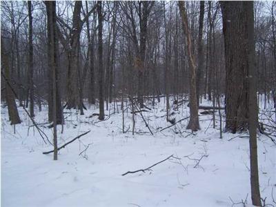 Gravel Ridge Road, Unit PAR A Lakeview, MI 48850 - Photo 5 of 5 Additional Photo