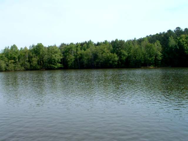 134 Rocky Shores Boat Ramp Road Iva, SC 29655 - Photo 4 of 5 Gallery Image 4