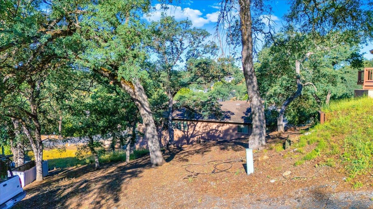 564 Dolores Way Copperopolis, CA 95228 - Photo 17 of 35 a view of a yard with an outdoor space