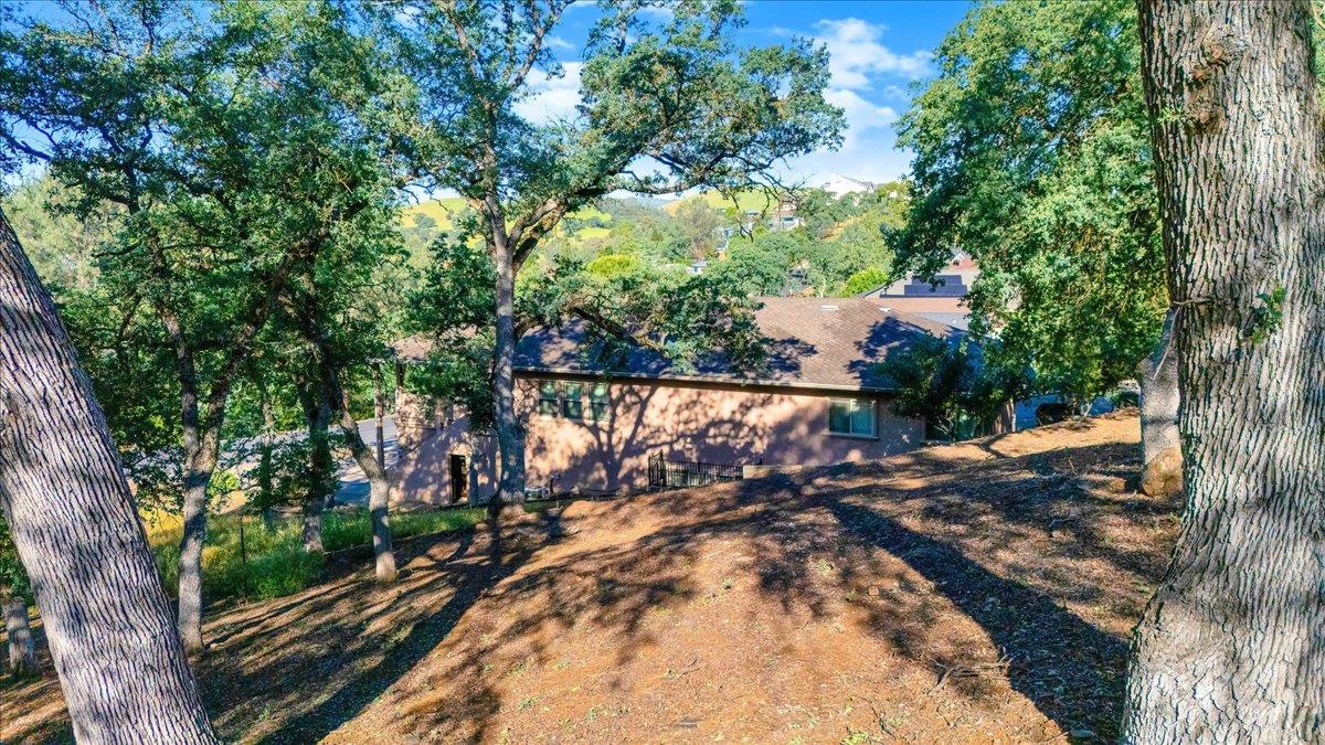 564 Dolores Way Copperopolis, CA 95228 - Photo 19 of 35 a view of a yard with plants and large trees