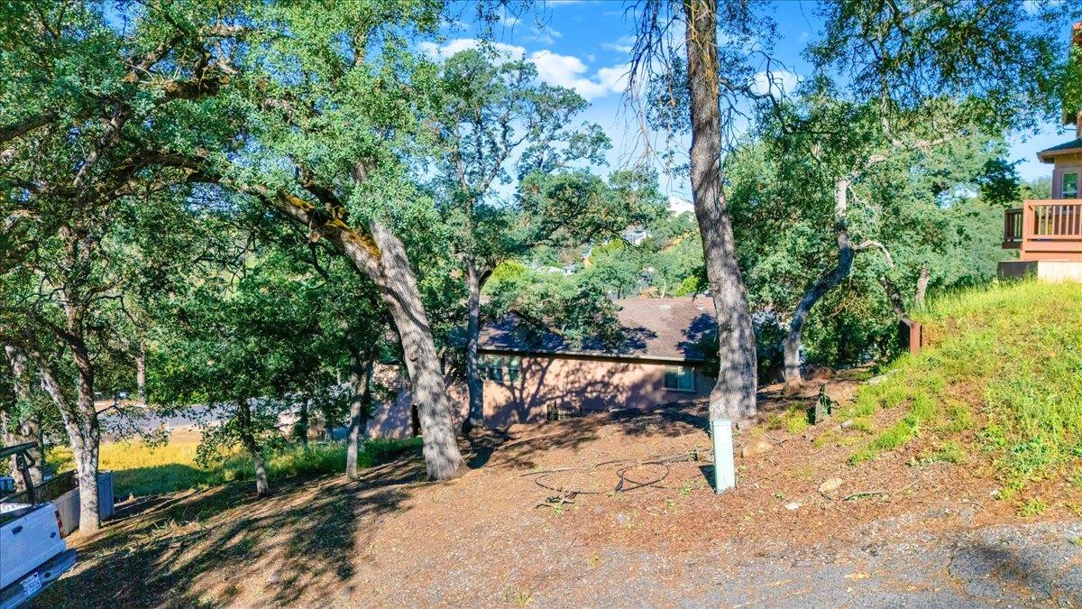 564 Dolores Way Copperopolis, CA 95228 - Photo 21 of 35 a view of a yard with a tree