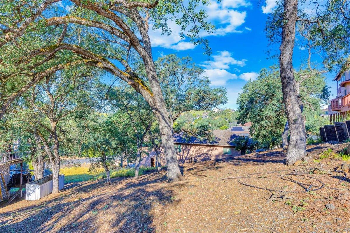 564 Dolores Way Copperopolis, CA 95228 - Photo 23 of 35 a view of swimming pool with a yard