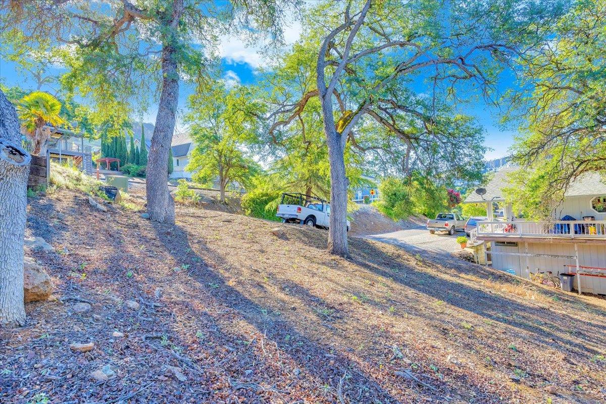 564 Dolores Way Copperopolis, CA 95228 - Photo 25 of 35 a street view with large trees