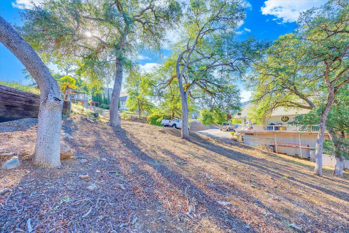 564 Dolores Way Copperopolis, CA 95228 - Photo 26 of 35 a view of a yard with plants and trees