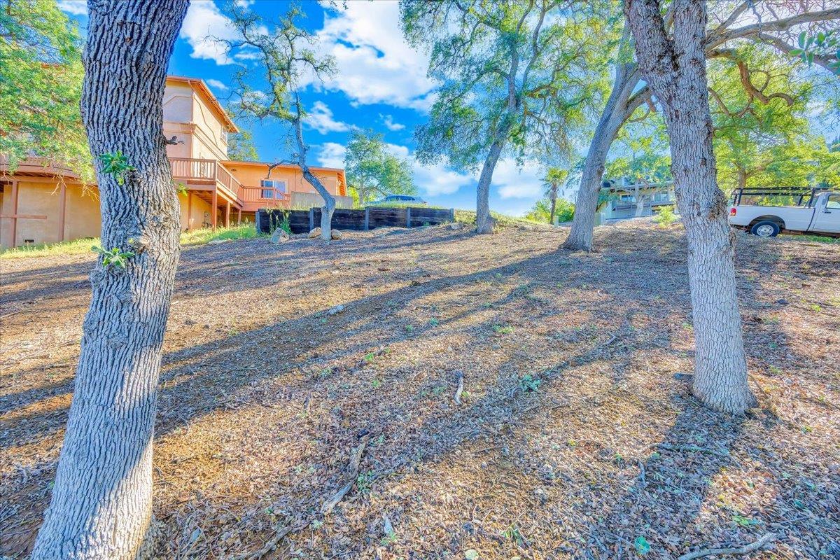 564 Dolores Way Copperopolis, CA 95228 - Photo 27 of 35 a view of road with large trees