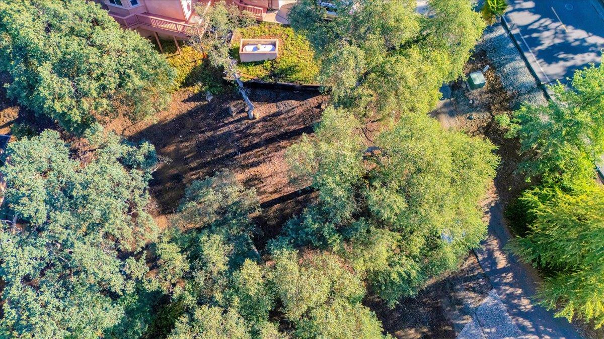 564 Dolores Way Copperopolis, CA 95228 - Photo 10 of 35 a view of a yard with plants
