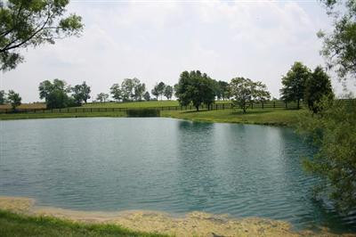 1057 Russell Cave Road Paris, KY 40361 - Photo 4 of 6 Photo 4