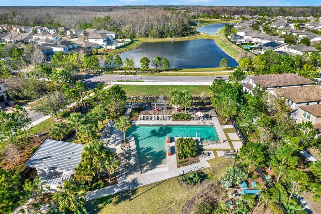 13729 Rangeland Boulevard Odessa, FL 33556 - Photo 30 of 30 an aerial view of residential houses with outdoor space and swimming pool
