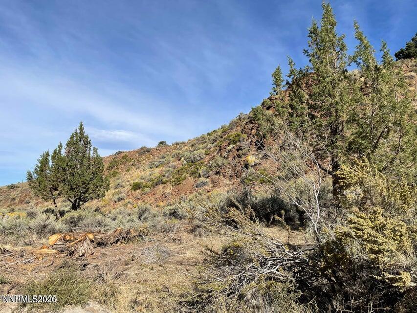 0 Quaking Aspen Road Reno, NV 89510 - Photo 18 of 20 p5q