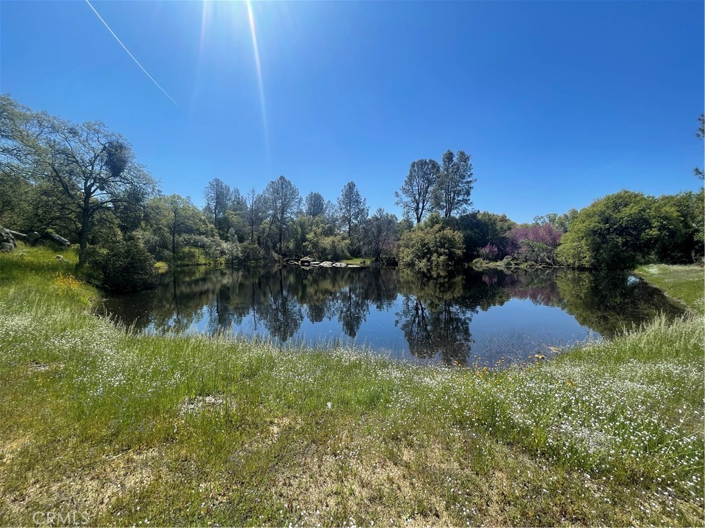 4385 Ashworth Road Mariposa, CA 95338 - Photo 1 of 1 Gallery Image 1