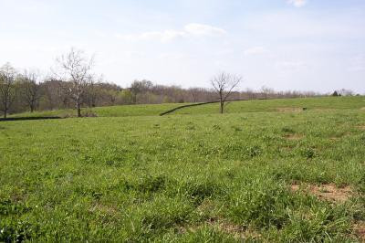 0 Spring Island Drive Georgetown, KY 40324 - Photo 1 of 1 Photo 1