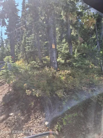 $199,950 | Nka Nka Eagle Mining District, Wallace, ID 83873