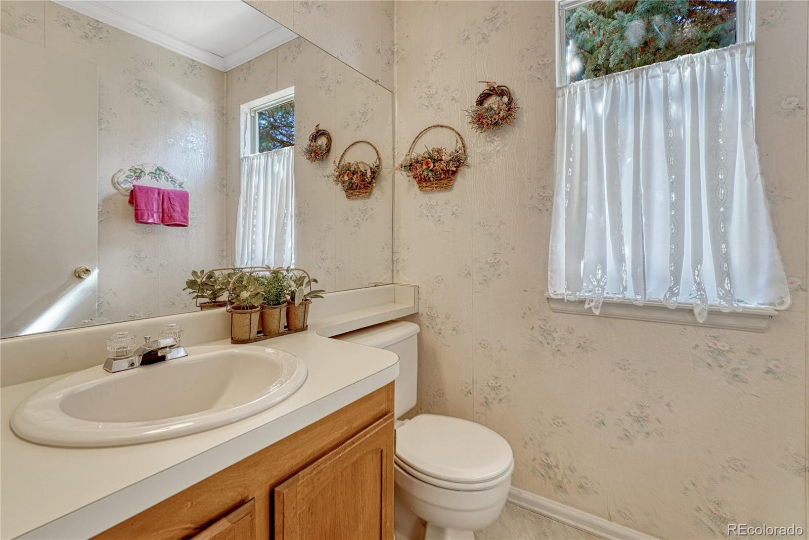 145 Blue Spruce Court Highlands Ranch, CO 80126 - Photo 20 of 49