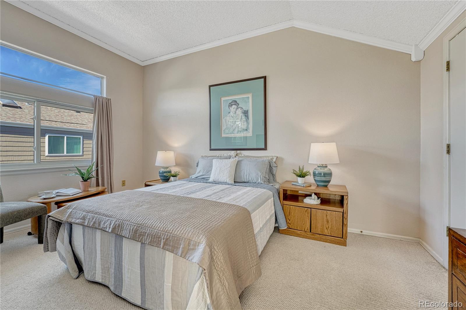 145 Blue Spruce Court Highlands Ranch, CO 80126 - Photo 22 of 49