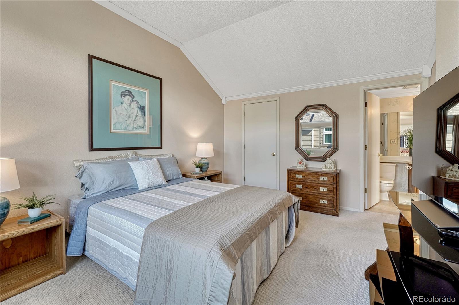 145 Blue Spruce Court Highlands Ranch, CO 80126 - Photo 23 of 49