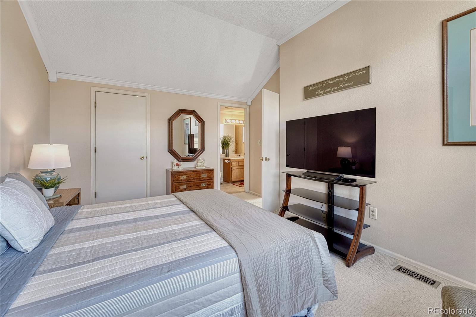 145 Blue Spruce Court Highlands Ranch, CO 80126 - Photo 24 of 49