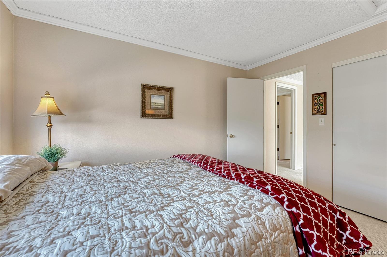145 Blue Spruce Court Highlands Ranch, CO 80126 - Photo 27 of 49