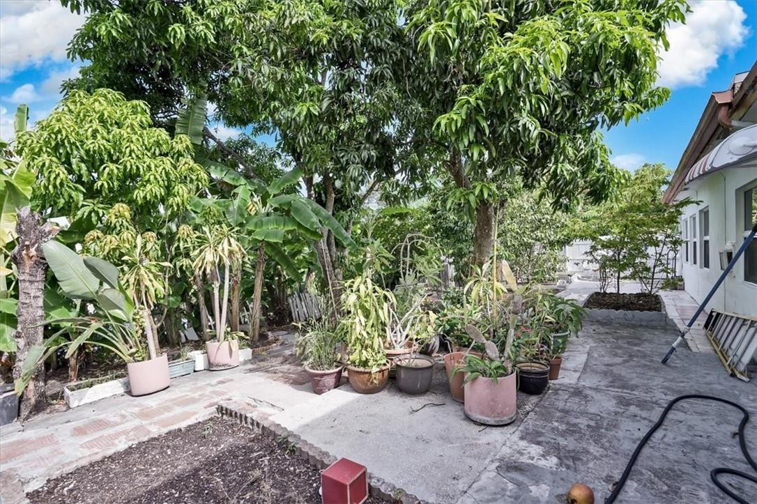 830 Southwest 50th Avenue Margate, FL 33068 - Photo 29 of 30 a view of a backyard with potted plants and large trees